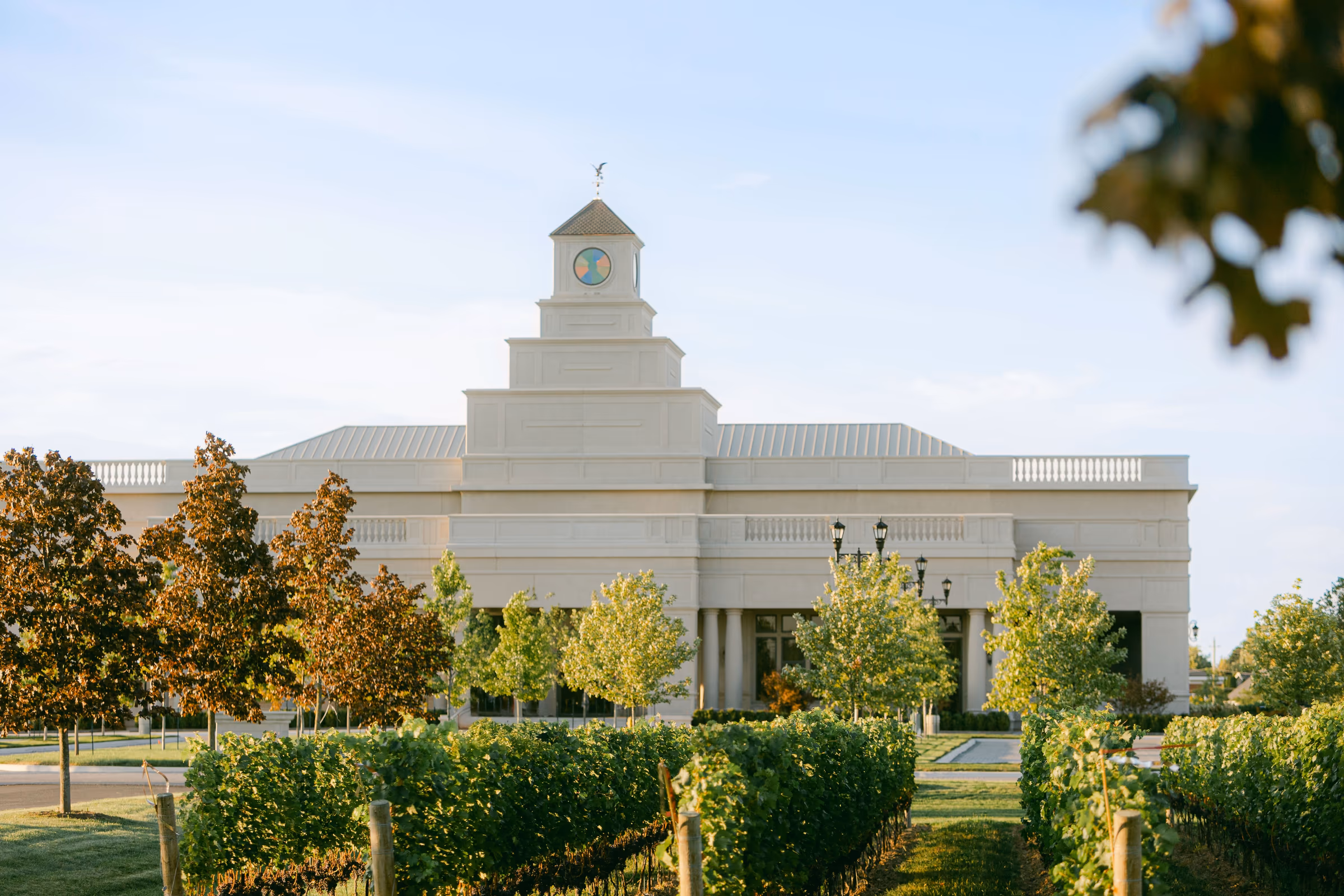The Stone Eagle Winery estate behind rows of vines at golden hour