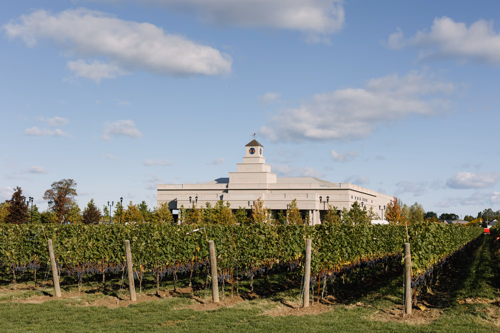 The Stone Eagle Winery estate behind rows of vines
