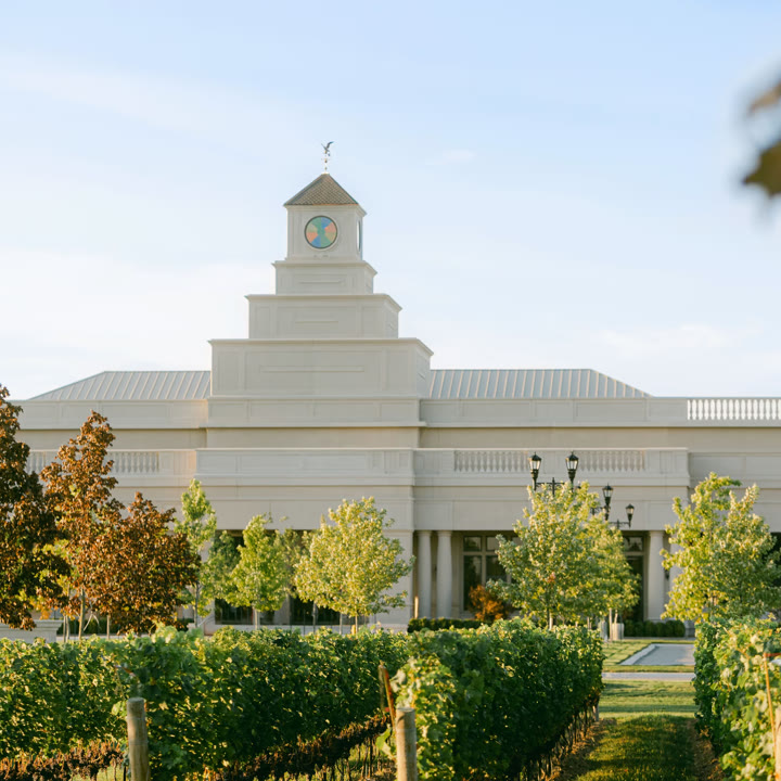 The Stone Eagle Winery estate behind rows of vines