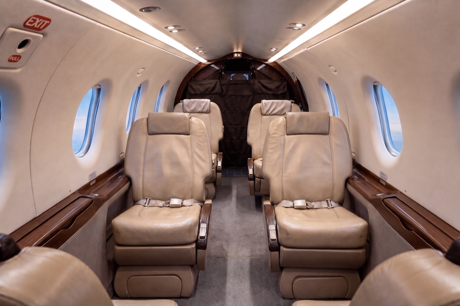 Inside NectAir's Pilatus PC-12 cabin